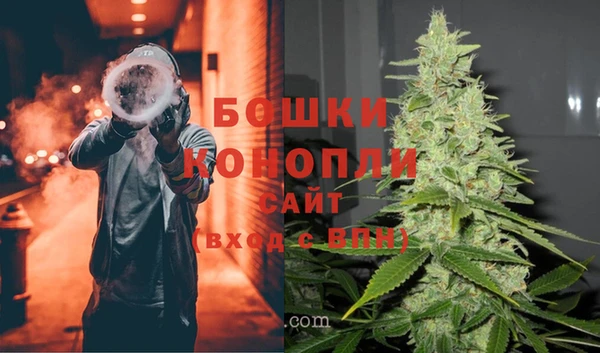 крисы Гусиноозёрск