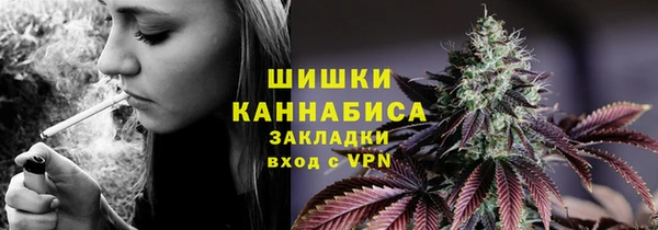 прущие грибы Медвежьегорск